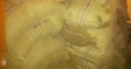 কানাইঘাটে ভিজিএফের চাল আটক মামলায় চেয়ারম্যান ফখরুলের আগাম জামিন