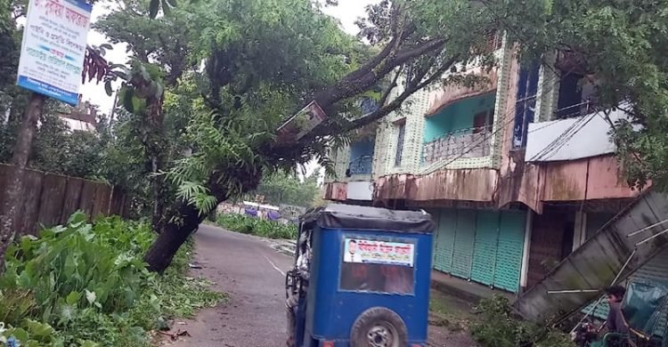 ওসমানীনগরে গোয়ালাবাজার-খাদিমপুর সড়কে শতাধিক হেলে পড়া গাছ, দুর্ঘটনার শঙ্কা