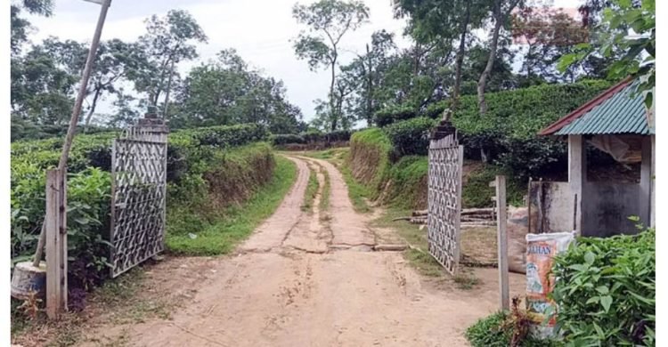 দীর্ঘ ১৫ বছর পর স্বস্তি ফিরল মৌলভীবাজারের যে জনপদে