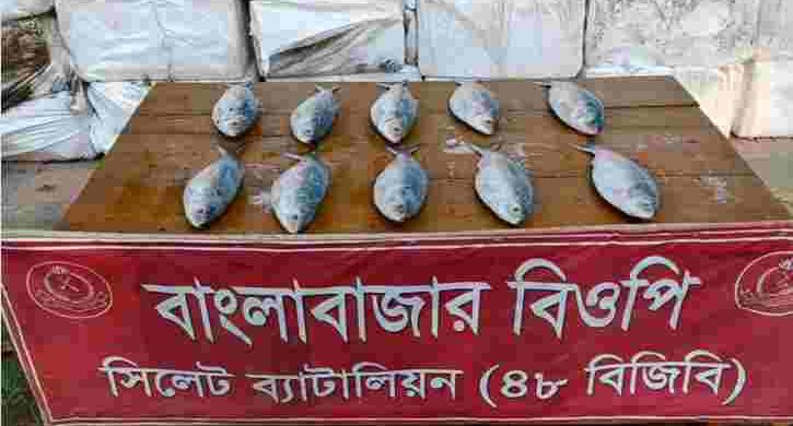 সিলেটের সীমান্তে আসছে চিনি, যাচ্ছে ইলিশ