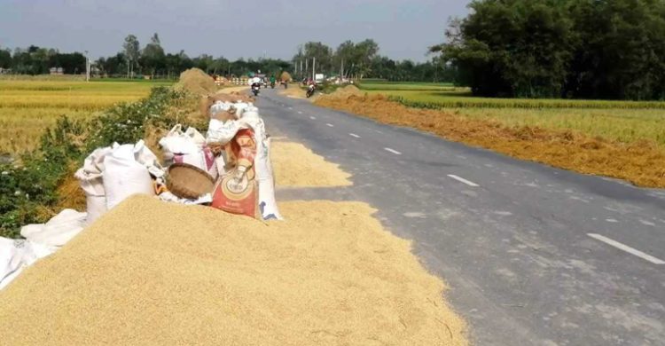 জগন্নাথপুর সড়কে ধান শুকানো নিয়ে সংঘর্ষ, লন্ডন প্রবাসীসহ আহত ৭