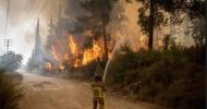 দাবানলে জ্বলছে ইসরায়েল, হন্য হয়ে পালাচ্ছেন বাসিন্দারা