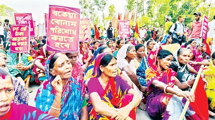 সিলেটে বেতন না পাওয়ায় ক্ষুব্ধ চা শ্রমিকরা