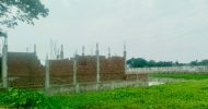 ওসমানীনগরে কৃষি জমিতে অবাধে গড়ে উঠছে আবাসন, কমছে ফসলী জমি