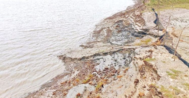 বিরামহীন ভাঙছে কোম্পানীগঞ্জের বামনী নদী
