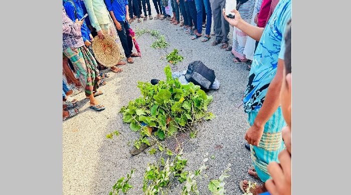 সিলেটের হরিপুরে ট্রাকের ধাক্কায় মোটরসাইকেল আরোহী নিহত