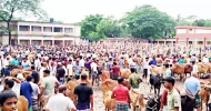 স্কুল বন্ধ রেখে পশুর হাট!