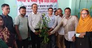ওসমানীনগরে ১০ হাজার গাছের চারা রোপণ করবে উপজেলা প্রশাসন