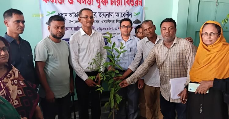 ওসমানীনগরে ১০ হাজার গাছের চারা রোপণ করবে উপজেলা প্রশাসন