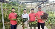 বৃটেনে প্রথম বাণিজ্যিকভাবে বাংলাদেশের সবজি চাষ : ইতিহাস গড়লেন বাংলাদেশি তিন যুবক