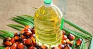 লিটারে ১৯ টাকা কমলো পাম অয়েলের দাম